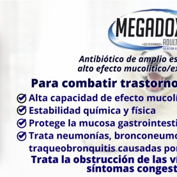 Antibiotico para perros y gatos