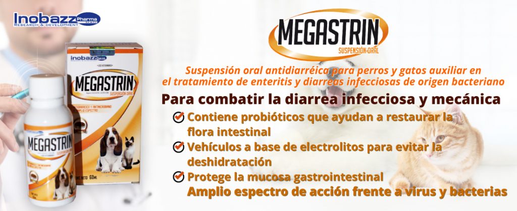 Megastrin Suspensión Oral antidiarréica parar perros y gatos