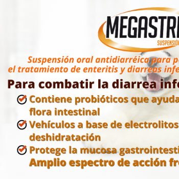 Megastrin Suspensión Oral antidiarréica parar perros y gatos