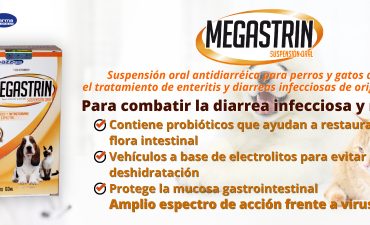 Megastrin Suspensión Oral antidiarréica parar perros y gatos
