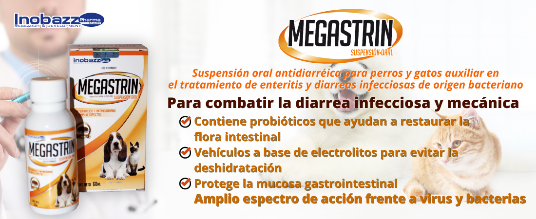 Megastrin Suspensión Oral antidiarréica parar perros y gatos