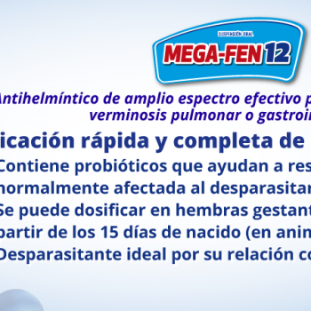 Mega-Fen 12 Antihelmíntico de amplio expectro