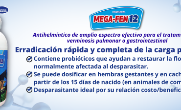 Mega-Fen 12 Antihelmíntico de amplio expectro