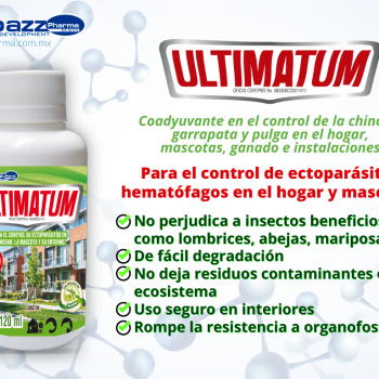 Ultimatum Elimina Chinches en el Hogar