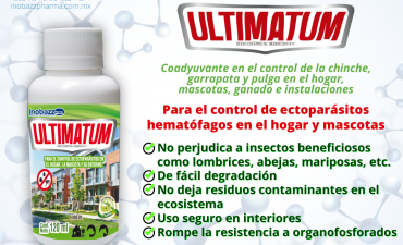 Ultimatum Elimina Chinches en el Hogar